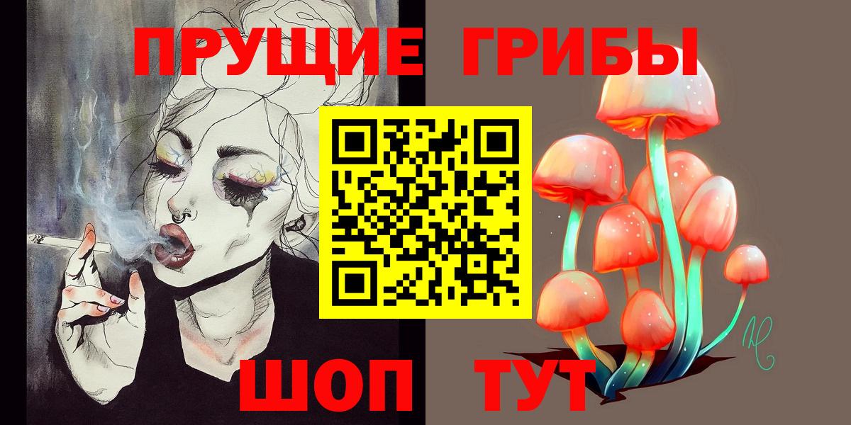 Псилоцибиновые грибы Psilocybine cubensis Верхний Уфалей