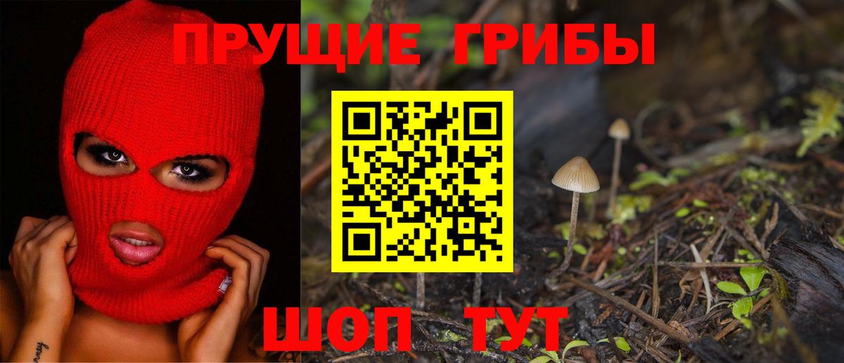 Галлюциногенные грибы прущие грибы  Вход с VPN  Верхний Уфалей 